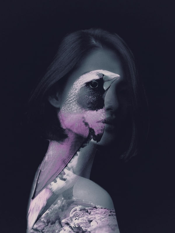 BIRD (PORTRAIT)