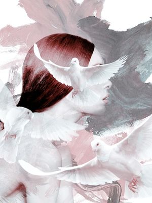 WHITE PIGEONS