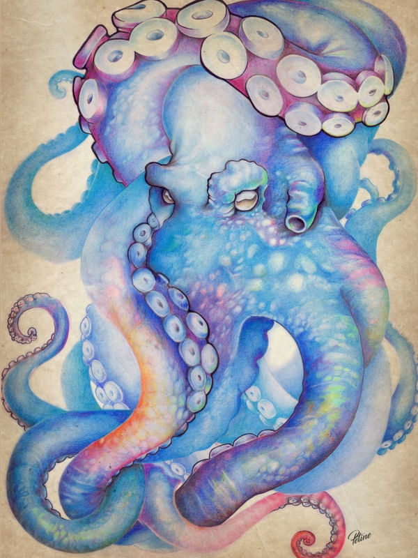 POLVO COLOR