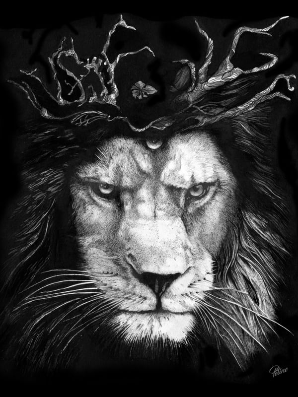 O FELINO