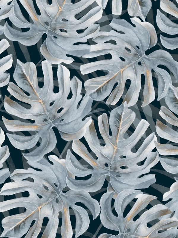 MONSTERA 2