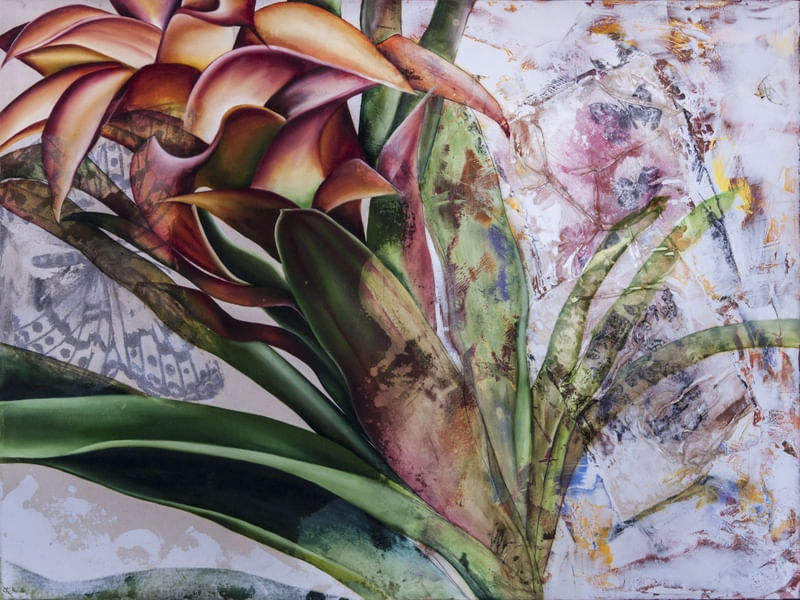 GUZMANIA
