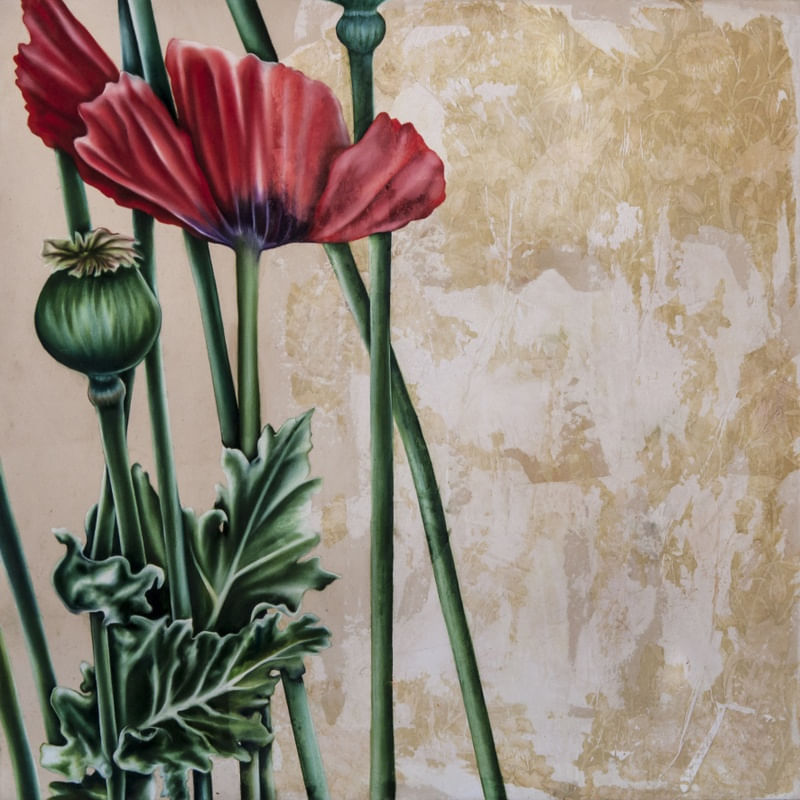 PAPOULA OPIUM