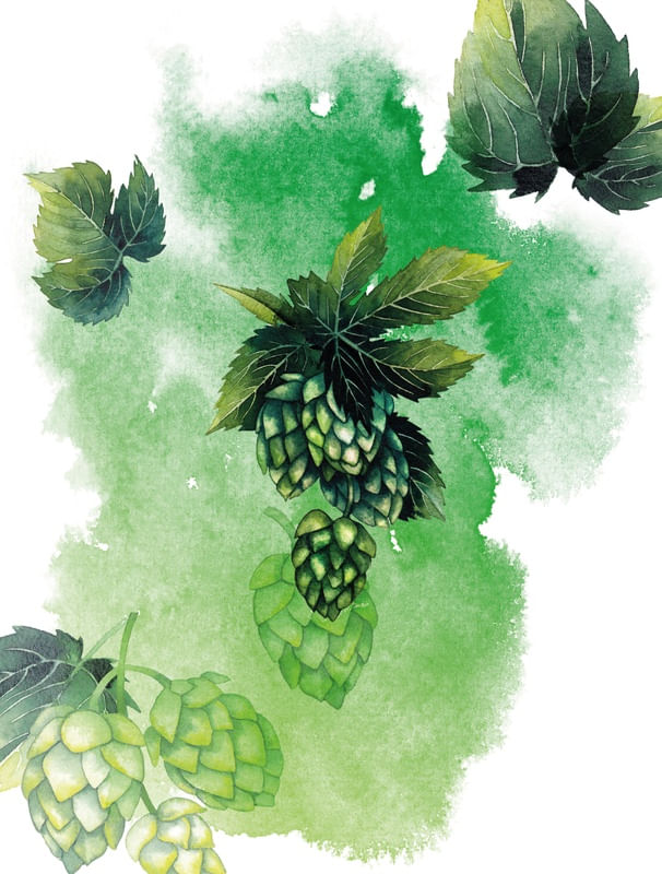 LUPULOBREWS