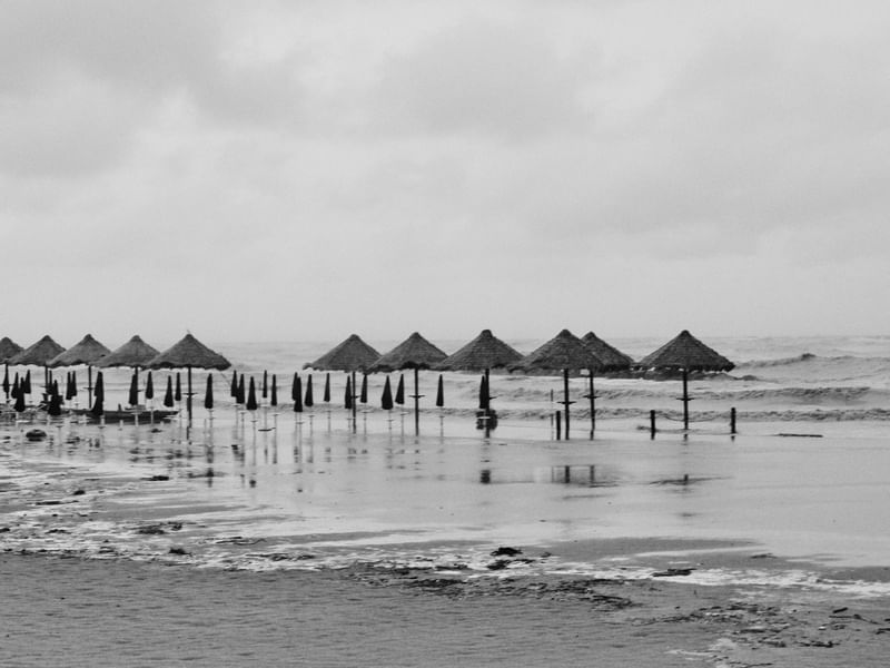 CHUVA E VENTO
