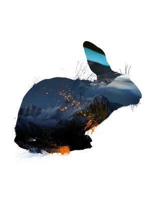 FAUNA ABSTRATA 2
