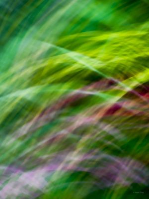 MIX DE CORES