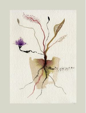 FLORAIS BXII
