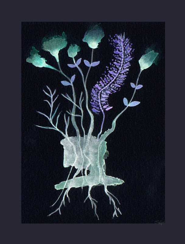 FLORAIS NXXII