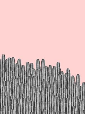 PAISAGEM DE CACTUS II
