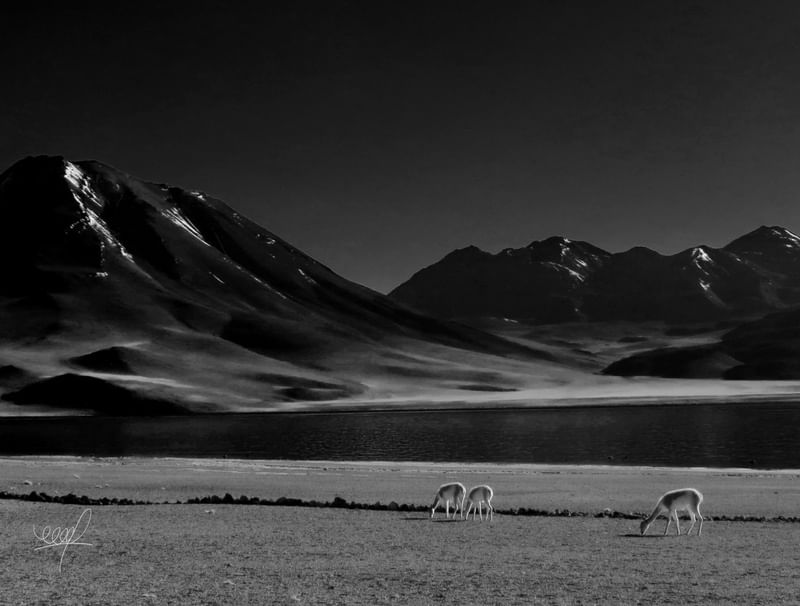 ATACAMA 01