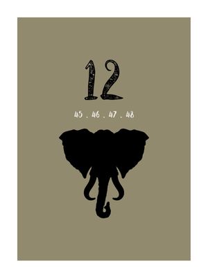 JOGO DO BICHO - ELEFANTE