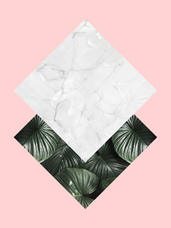 FOLHAS E ROSA II