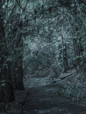 CAMINHOS NOTURNOS