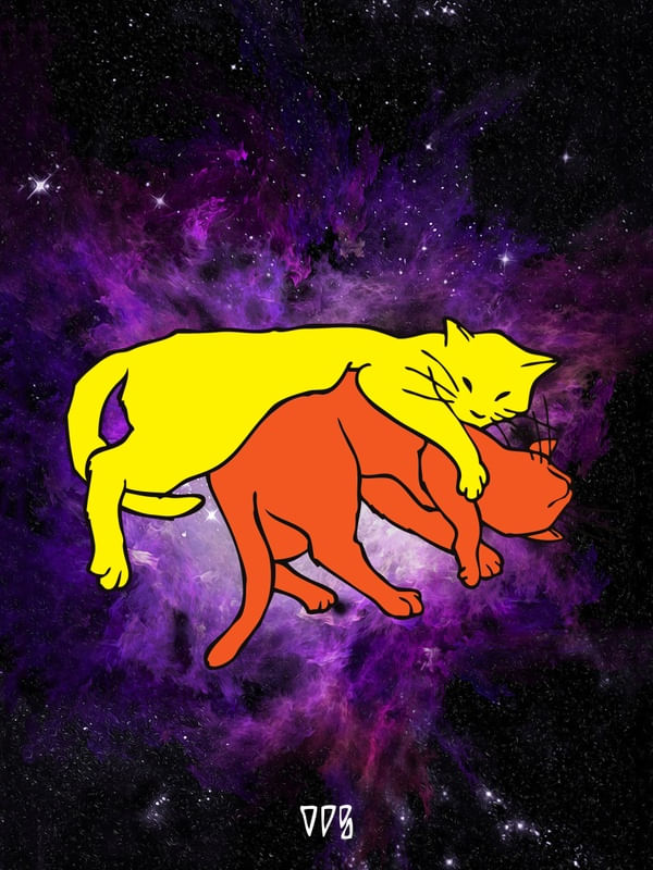 COMO DOIS FELINOS
