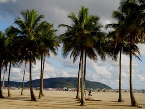 DOMINGO NA PRAIA CORRIGIDO