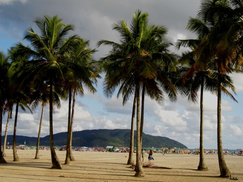 DOMINGO NA PRAIA CORRIGIDO