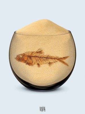 DEAD FISH
