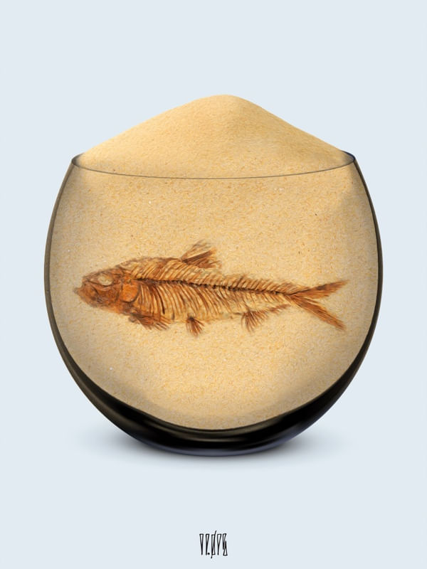 DEAD FISH