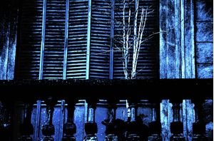 BLUE WINDOW VINTAGE