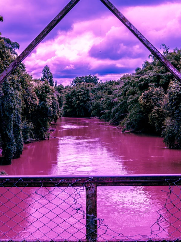 PURPLE ATIBAIA