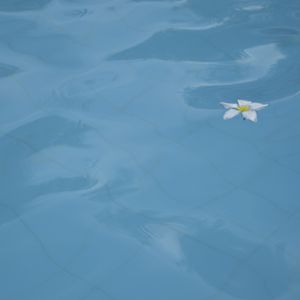 ALONE GREEN