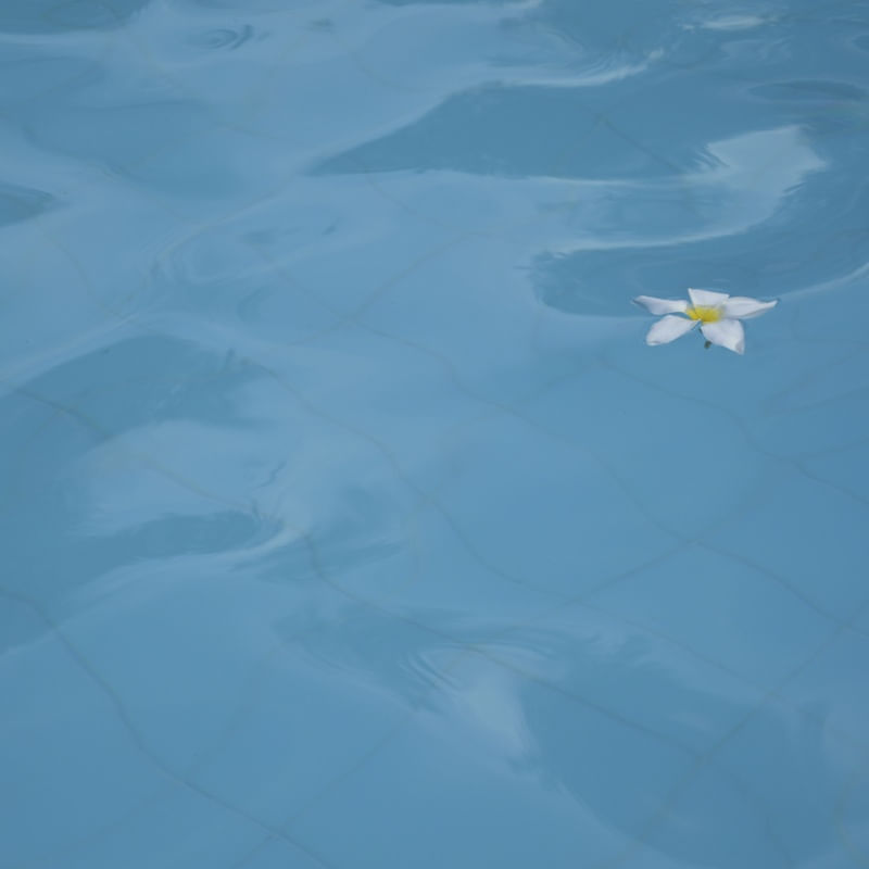 ALONE GREEN