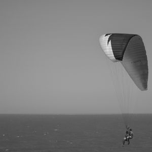 BLACK AND WHITE FLIGHT