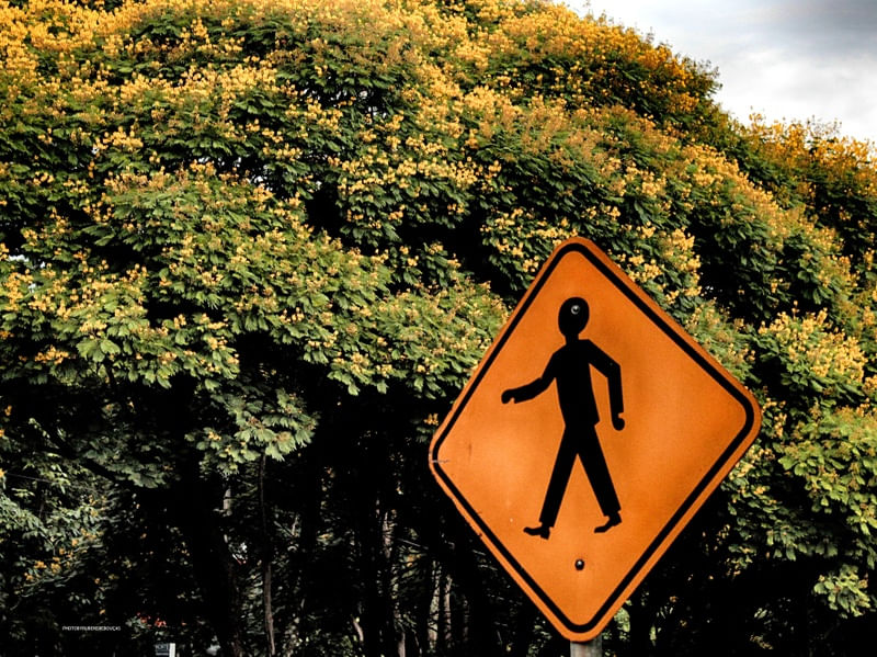 SÉRIE PLACAS - ANDARILHO