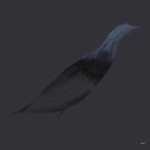 TRAÇOS - PÁSSARO AZUL