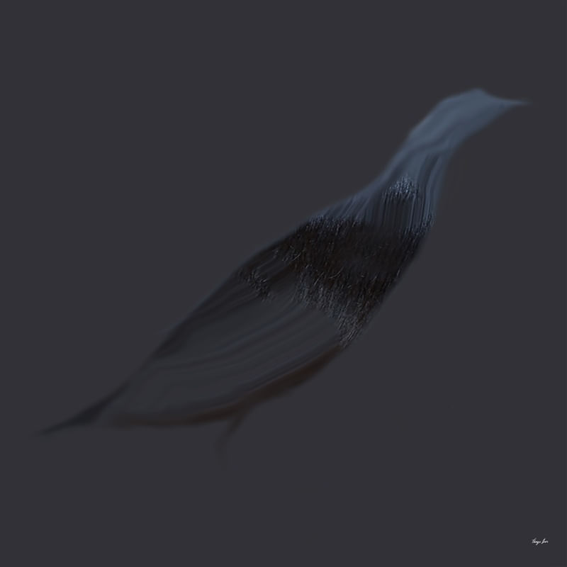 TRAÇOS - PÁSSARO AZUL