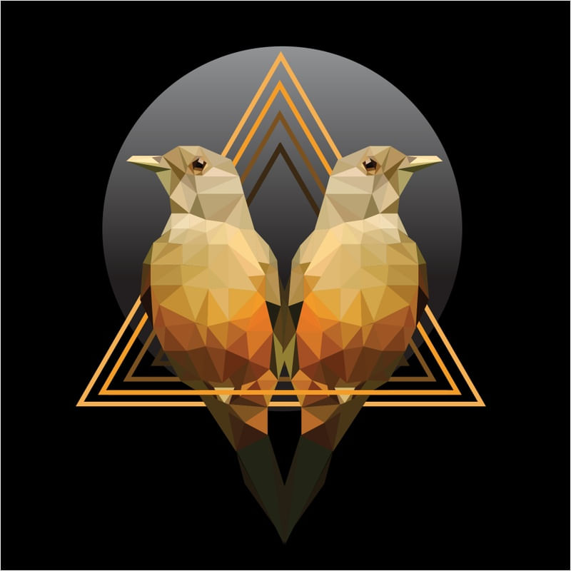 PASSARINHOS LOW POLY