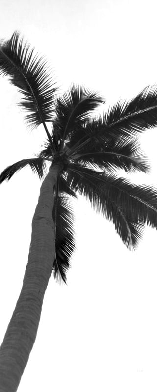 PRAIA PRAIA 6