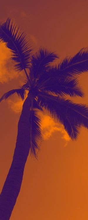 PRAIA PRAIA 8