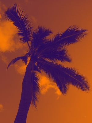 PRAIA PRAIA 13