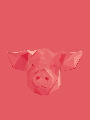 PINK PIG