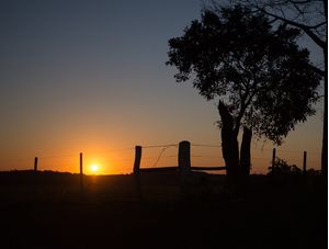 BUCOLIC SUNSET