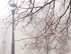 RAINY WINTER DAY