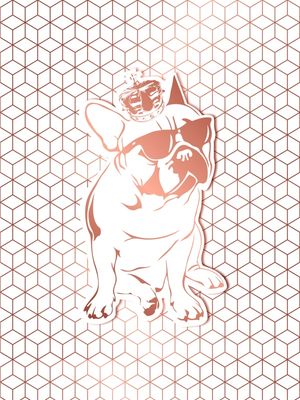 BULLDOG ROSE