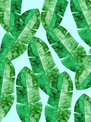 CONJUNTO TROPICAL II