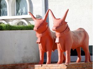 TOUROS E VINHOS