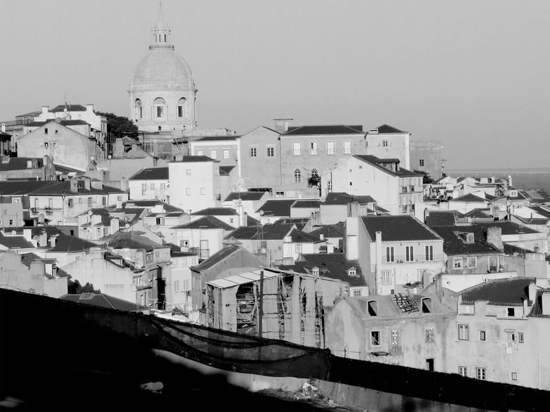 TELHADOS E VEIAS