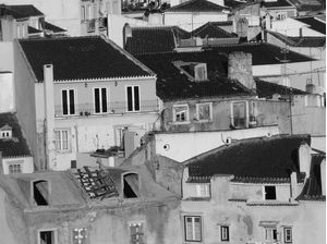 TELHADOS E AS VEIAS DA CIDADE