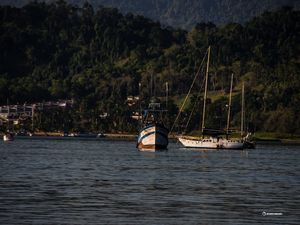 BARCOS DE PARATY