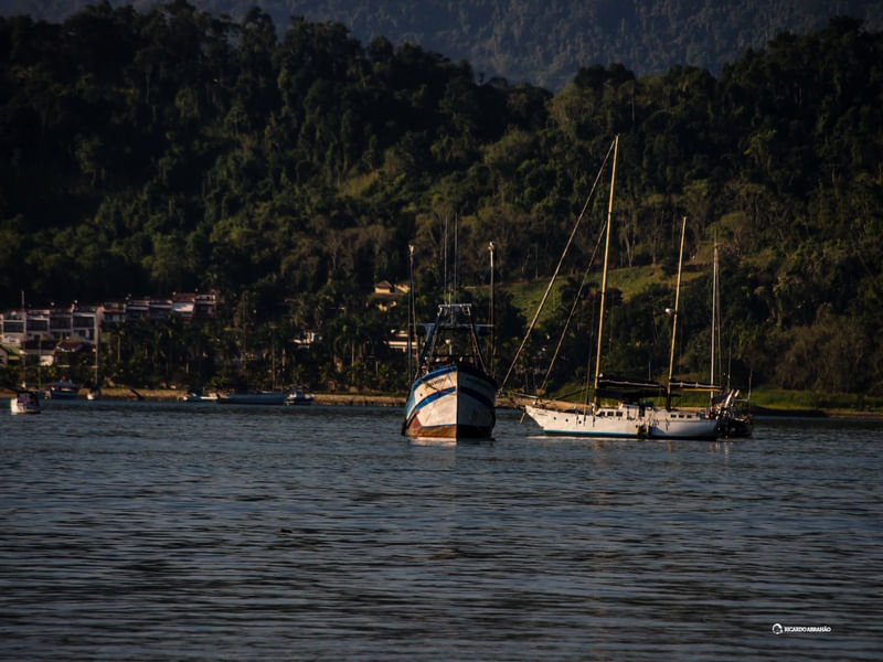 BARCOS DE PARATY