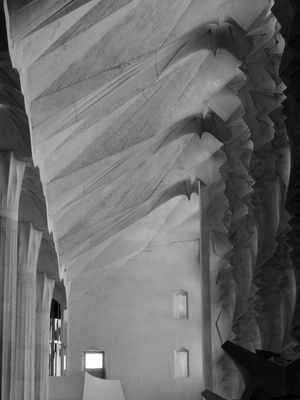 LUZ SAGRADA