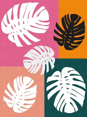 CONJUNTO TROPICAL IV