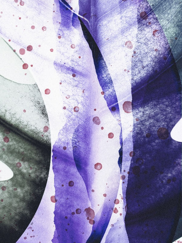 PURPLE TAS