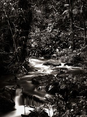 CREEK I