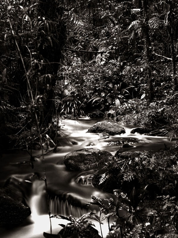 CREEK I